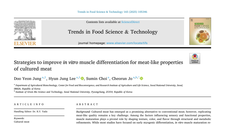 Strategies to improve in vitro muscle differentiation for meat-like properties of cultured meat