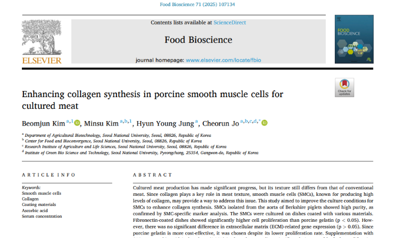 Enhancing collagen synthesis in porcine smooth muscle cells for cultured meat